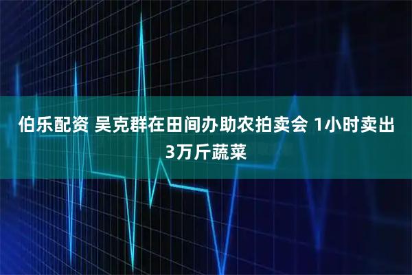 伯乐配资 吴克群在田间办助农拍卖会 1小时卖出3万斤蔬菜